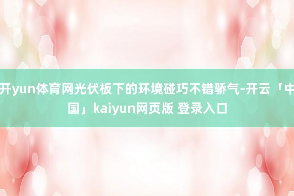 开yun体育网光伏板下的环境碰巧不错骄气-开云「中国」kaiyun网页版 登录入口
