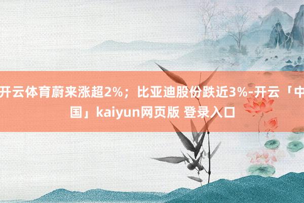 开云体育蔚来涨超2%；比亚迪股份跌近3%-开云「中国」kaiyun网页版 登录入口