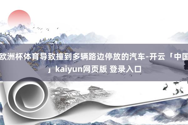 欧洲杯体育导致撞到多辆路边停放的汽车-开云「中国」kaiyun网页版 登录入口
