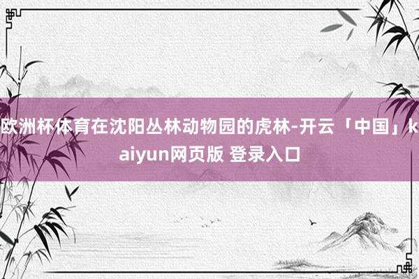 欧洲杯体育在沈阳丛林动物园的虎林-开云「中国」kaiyun网页版 登录入口