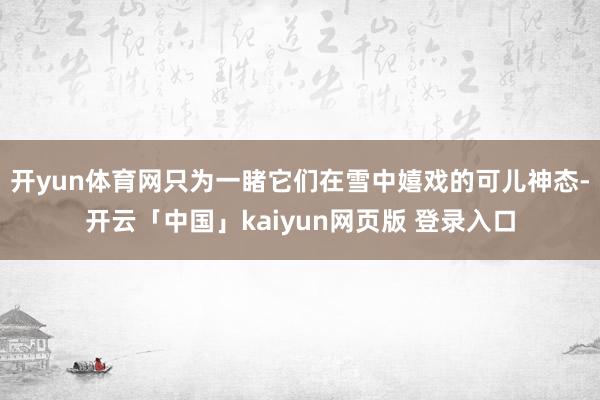 开yun体育网只为一睹它们在雪中嬉戏的可儿神态-开云「中国」kaiyun网页版 登录入口
