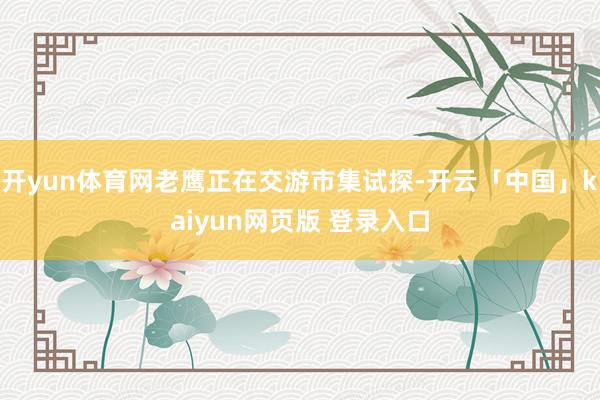 开yun体育网老鹰正在交游市集试探-开云「中国」kaiyun网页版 登录入口