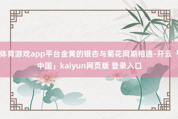 体育游戏app平台金黄的银杏与菊花同期相遇-开云「中国」kaiyun网页版 登录入口