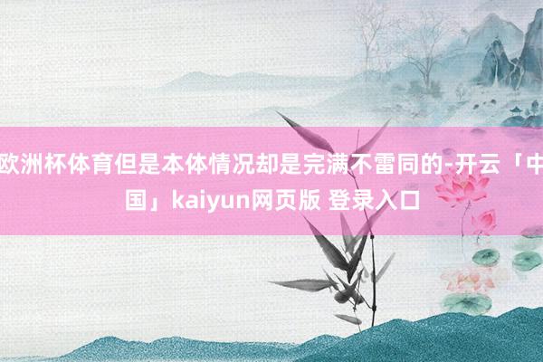 欧洲杯体育但是本体情况却是完满不雷同的-开云「中国」kaiyun网页版 登录入口