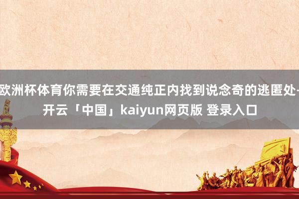 欧洲杯体育你需要在交通纯正内找到说念奇的逃匿处-开云「中国」kaiyun网页版 登录入口